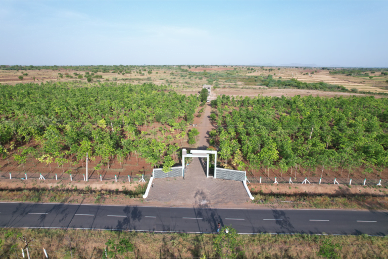 NAINIKA FARM LANDS